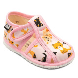 Rak růžové kočky Rak růžové kočky